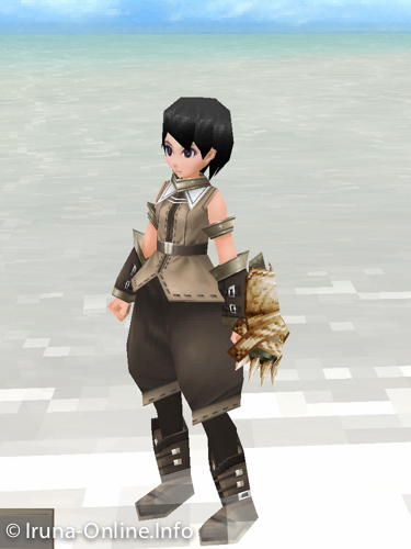 item_image_Duel Shield (Strengthened 2)