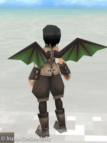 item_image_Wind Dragon Wings